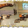 蘭陽博物館