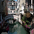 DSCN8908.JPG