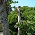 Murano小島風情