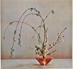 圖42：池坊華道-現代立華插花.jpg