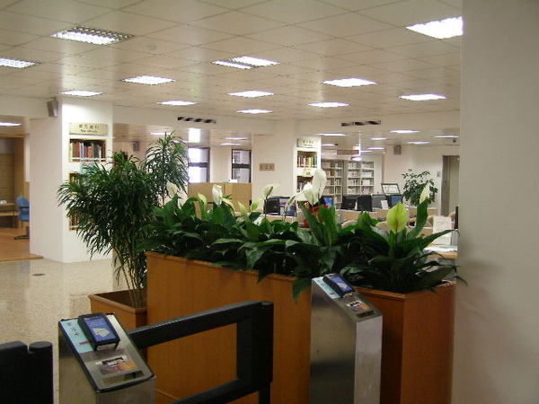 6 圖書館(整容後)-3.JPG