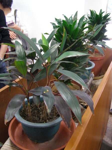 0 圖書館(整容前).JPG