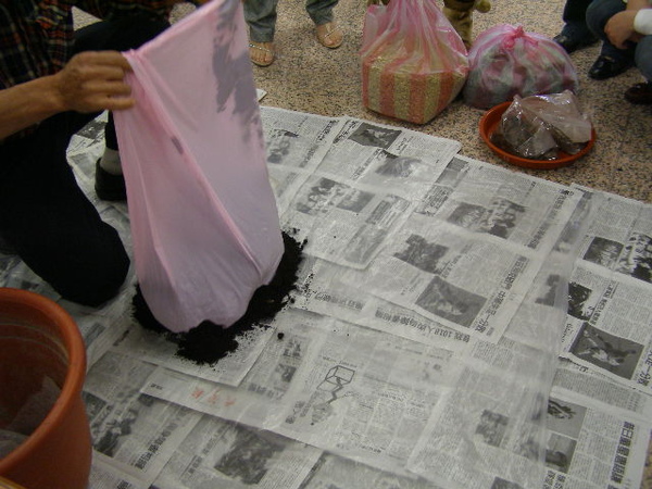 換盆2 拌土(1).JPG