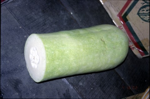 04冬瓜.jpg