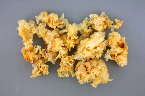 07.白木耳 (1).jpg