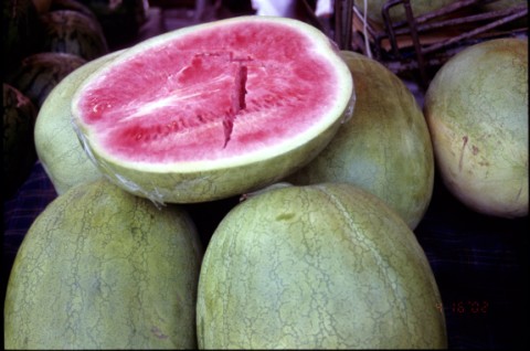 10西瓜.jpg