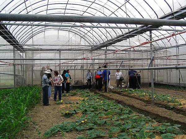 設施栽培蔬菜-3.jpg