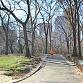 紐約中央公園內到處都有慢跑的人