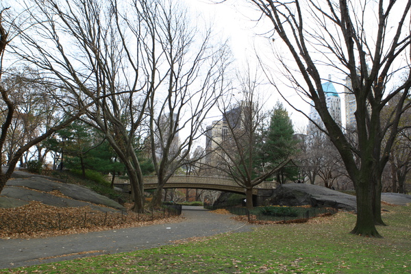 紐約中央公園