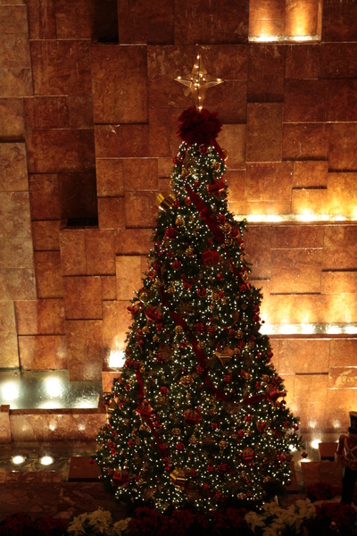 川普大樓內的聖誕樹