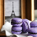 macaron european chic