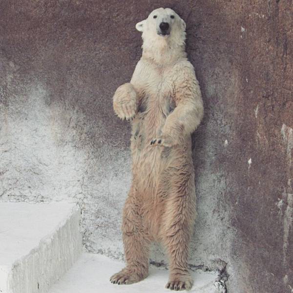 IMG_20160410_014624.jpg IMG_20160410_014624.jpg