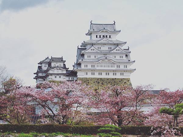 IMG_20160610_190610.jpg IMG_20160610_190610.jpg