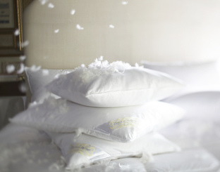 AMERICAN_PILLOWS3__61541__33468.1443414175.328.245.jpg AMERICAN_PILLOWS3__61541__33468.1443414175.328.245.jpg