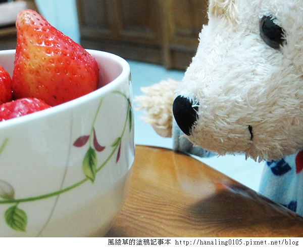 2014.02.13吃草莓