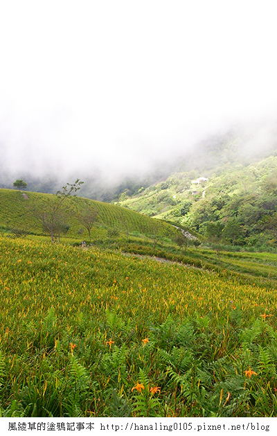 2014083009太麻里金針山.JPG