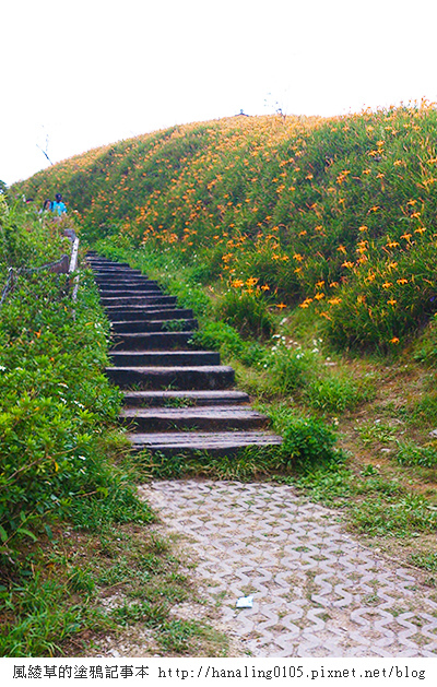 2014083011太麻里金針山.JPG