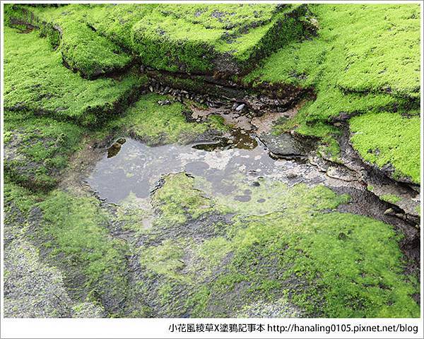 小花小旭回澎湖去