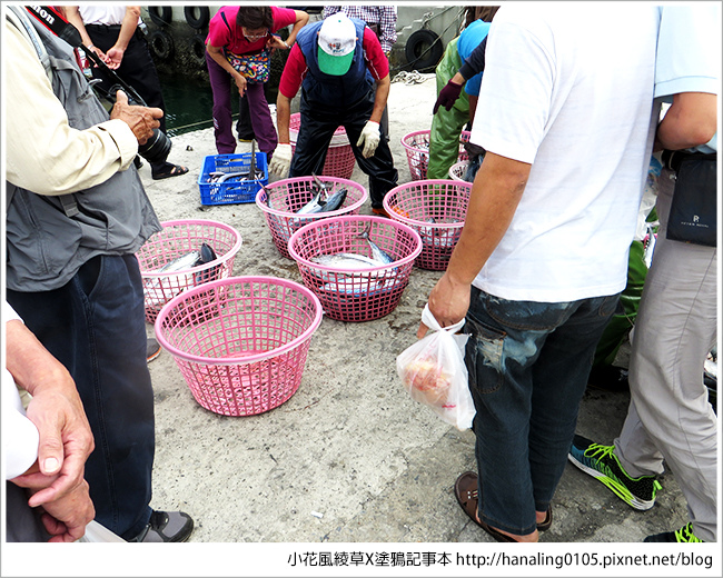 小花小旭回澎湖去