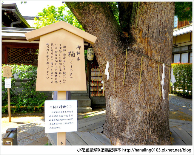 20180514晴明神社晨間散步