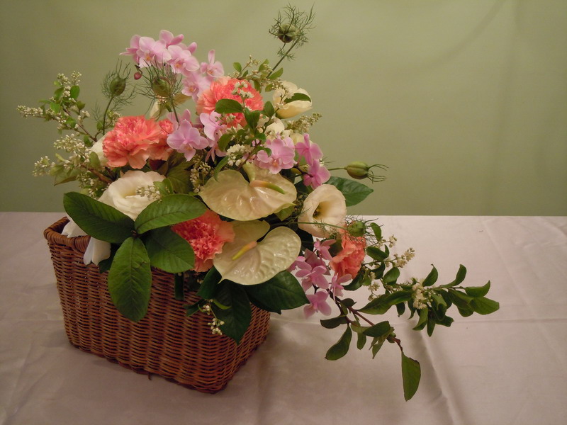 DSCN0062_調整大小 .JPG DSCN0062_調整大小 .JPG