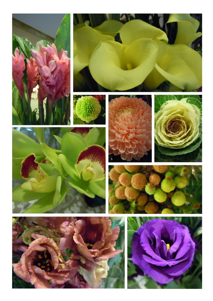12月進花.jpg 12月進花.jpg