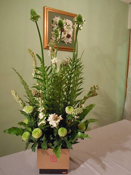 DSCN2317.jpg DSCN2317.jpg
