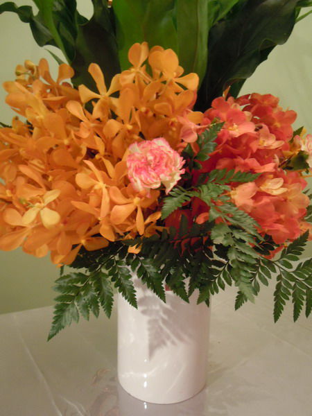 鹿角蕨盆花近照_調整大小 .JPG 鹿角蕨盆花近照_調整大小 .JPG