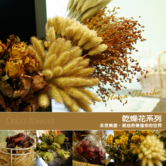 0415乾燥花系列-A.jpg 0415乾燥花系列-A.jpg