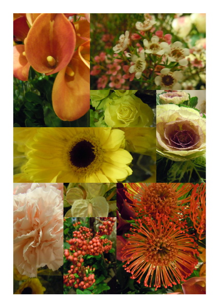 2020進花.jpg 2020進花.jpg