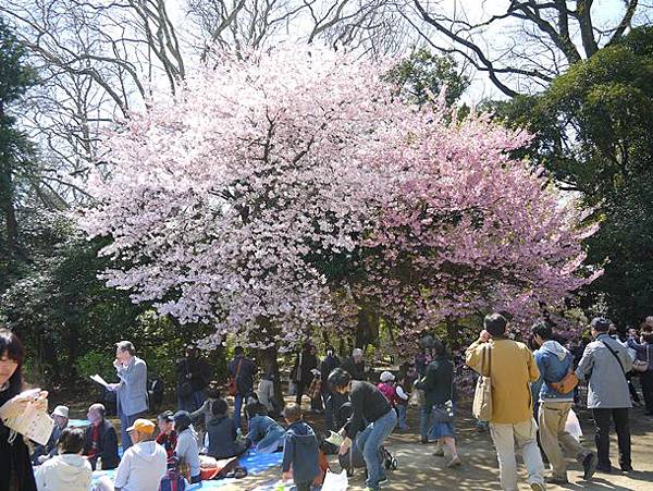 tokyo201204182