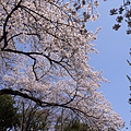 tokyo201204219