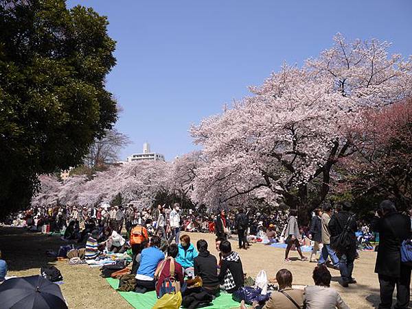 tokyo201204221