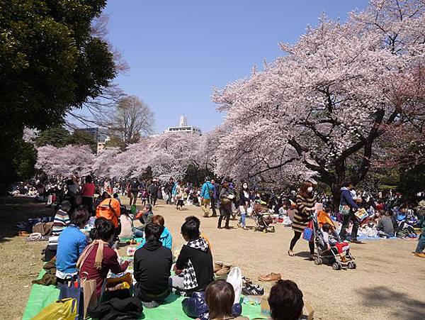 tokyo201204224