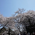 tokyo201204253