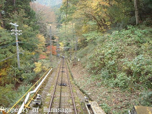 高野山賞楓-05