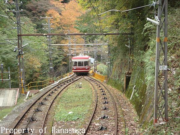 高野山賞楓-06