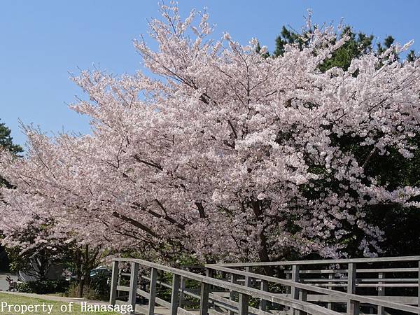 福岡西公園_02.JPG