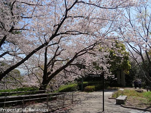 福岡西公園_07.JPG