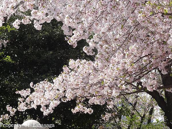 福岡西公園_26.JPG