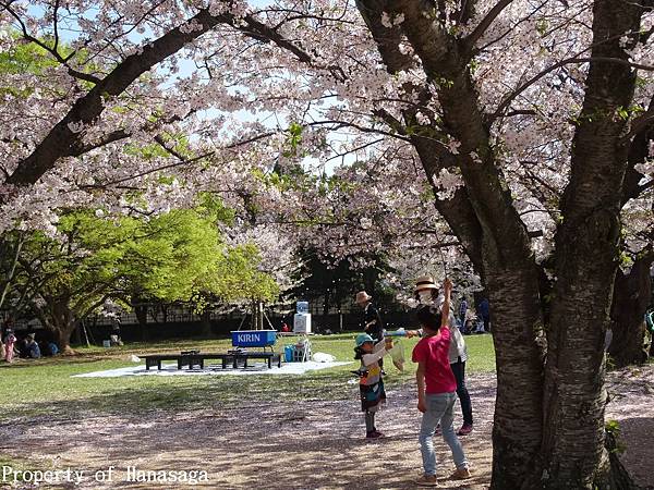 大濠_舞鶴公園_13.JPG