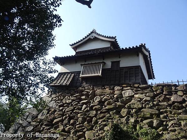 福岡城跡賞櫻花_03.JPG