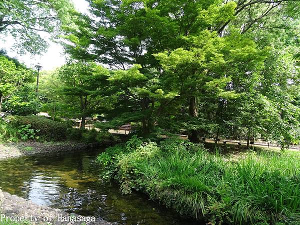 福岡植物園_01.JPG