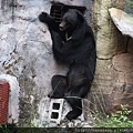 木柵動物園_04.JPG