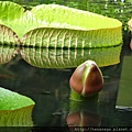 木柵動物園_73.JPG