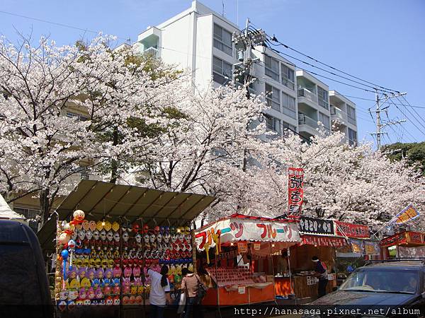 20120402_西公園_24.JPG