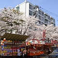 20120402_西公園_24.JPG