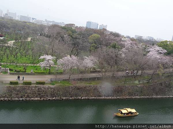 2016大阪城賞櫻花_18.JPG