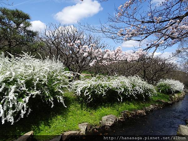 20160402_萬博公園_09.JPG