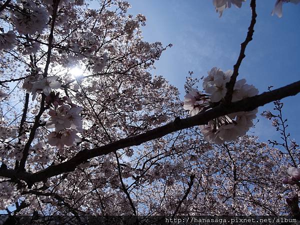 20160402_萬博公園_24.JPG